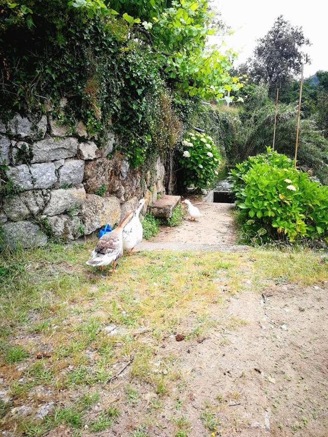 فيلا Covelas في Casa Do Palheiro المظهر الخارجي الصورة